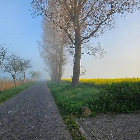 דירה Friesenkaet - Deichblick שיליג