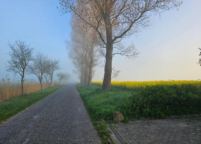 Apartamento Friesenkaet - Deichblick Schillig